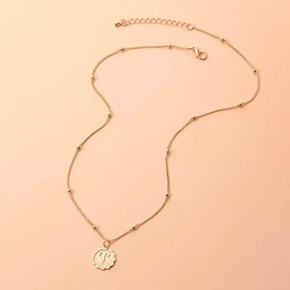 Zodiac Sign Astrology Beaded Charm Gift Necklace - Picture 5 of 16